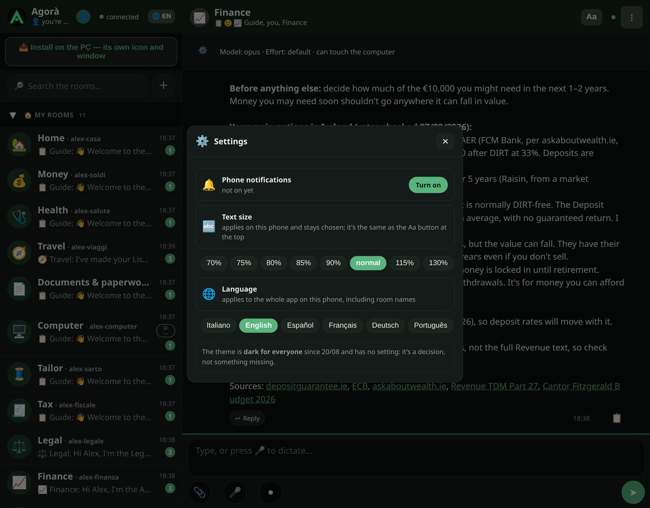 Settings: phone notifications, text size, the app's language.